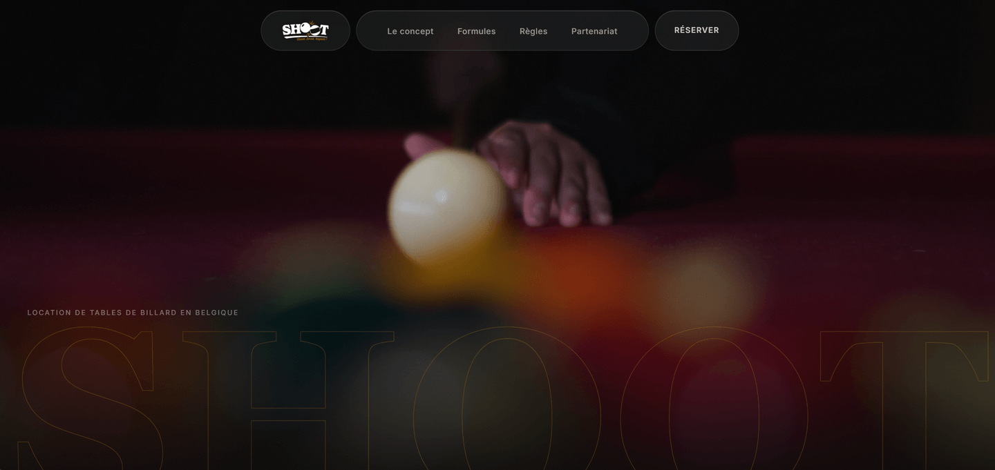 Shoot website home page: a close-up of a pool ball